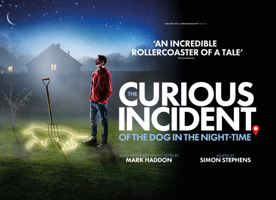 The Curious Incident of the Dog in the Night-Time