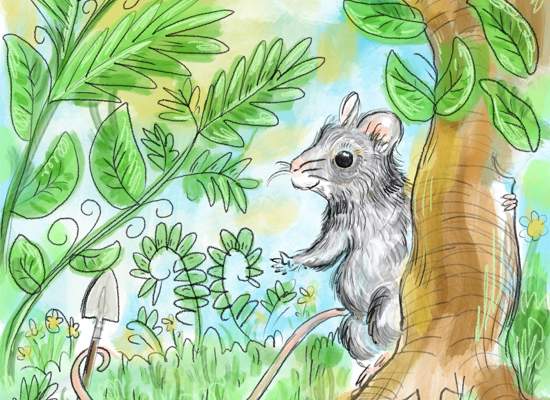 Play Time: - A Woodland Wonder