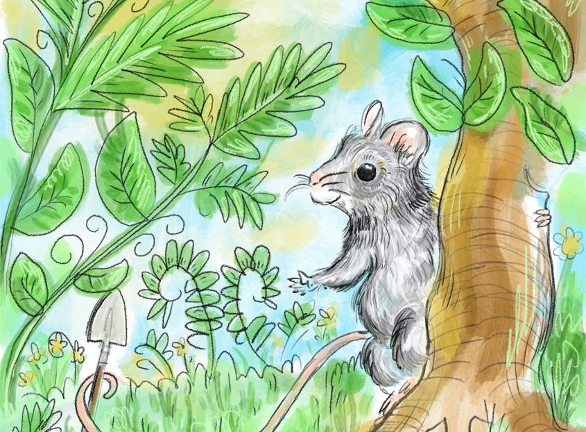 Play Time: - A Woodland Wonder