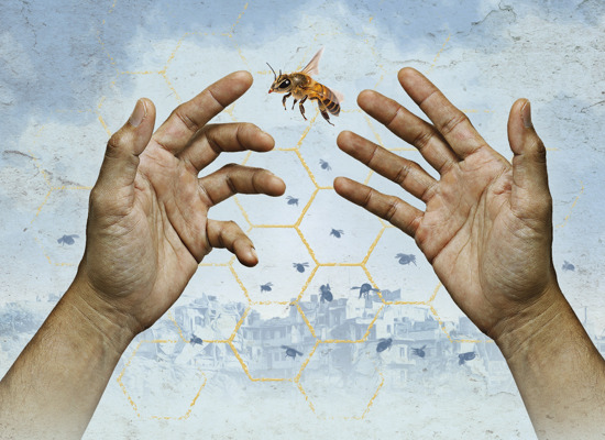 The Beekeeper of Aleppo