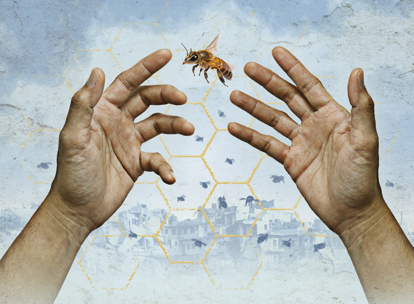 The Beekeeper of Aleppo