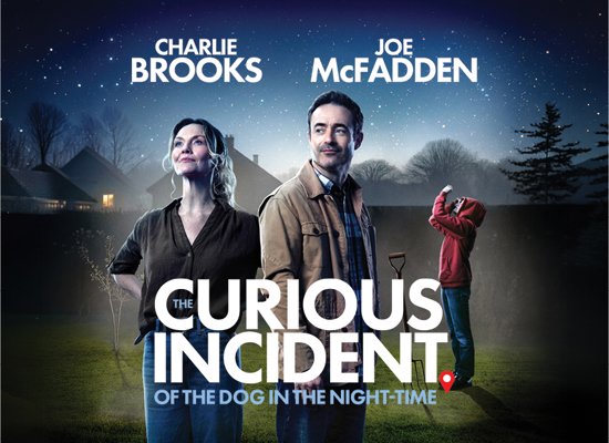 The Curious Incident of the Dog in the Night-Time