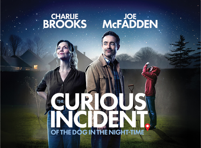 The Curious Incident of the Dog in the Night-Time