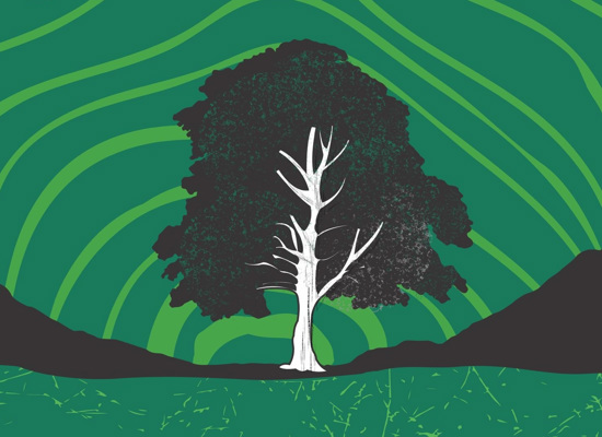 NT Connections Backstage - Spring 2026