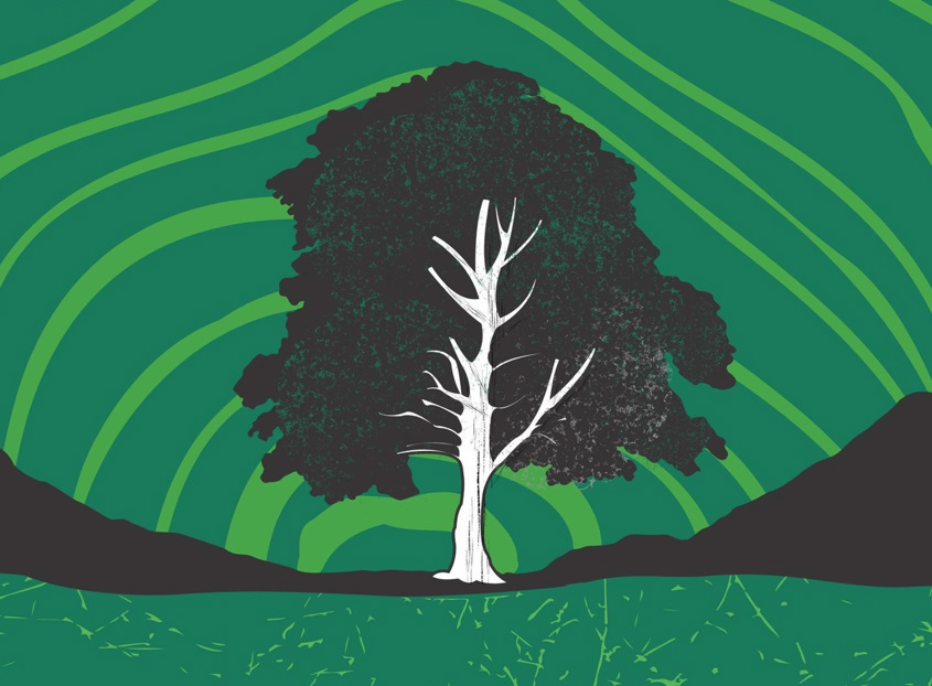 NT Connections Acting - Spring 2026