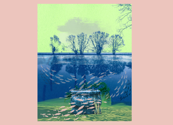 Troubled Waters
