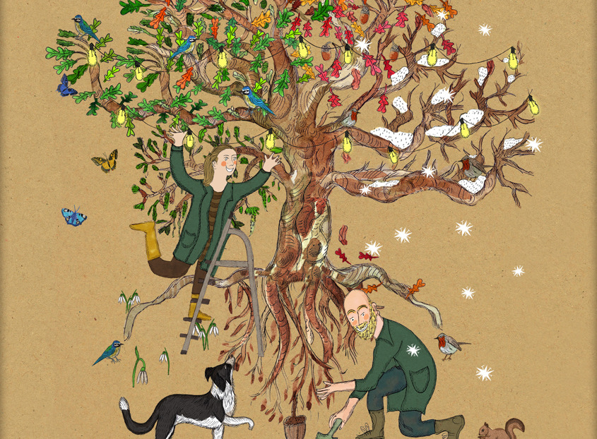Four Seasons