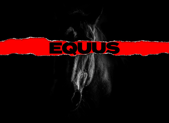 Equus